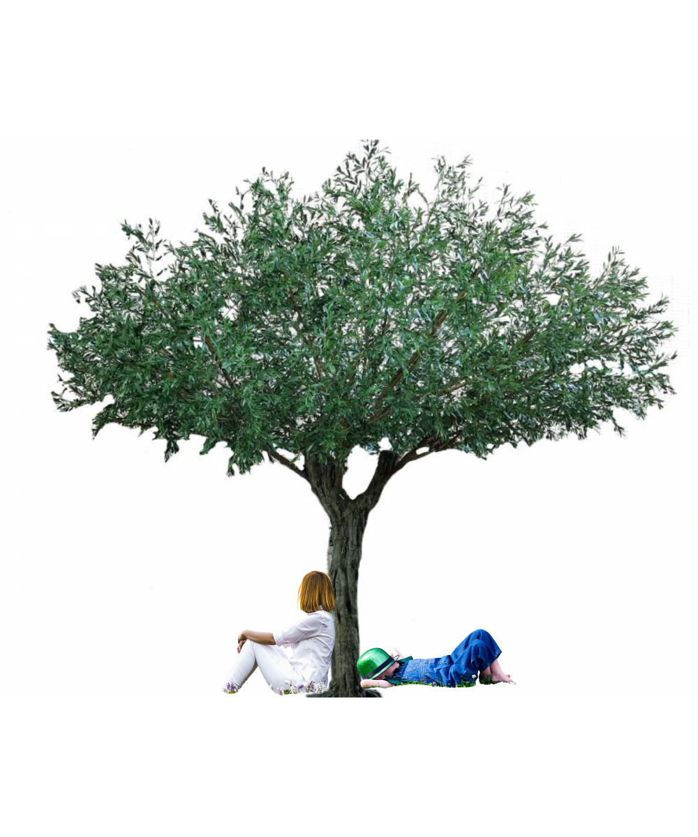 Artificial OLIVE TREE UMBRELLA 440 UV
