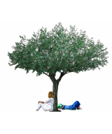 Artificial OLIVE TREE UMBRELLA 440 UV