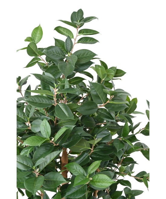 Artificial TEA TREE