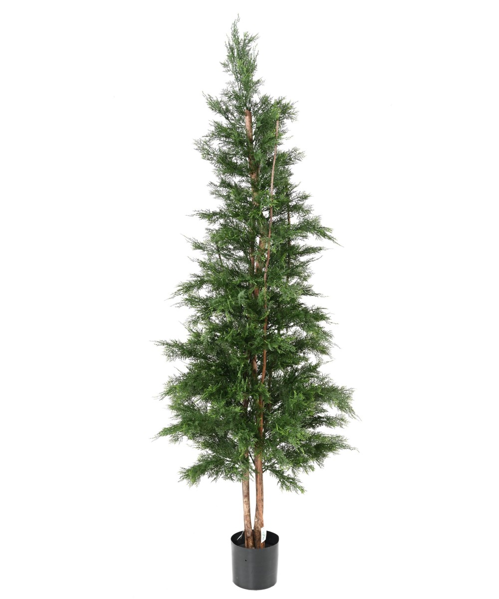 Kunstlik LAWSON CYPRESS UV-KINDEL CHAMAECYPARIS