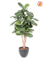 Artificial LYRATA STEM 190 CM FR - Fire Resistant