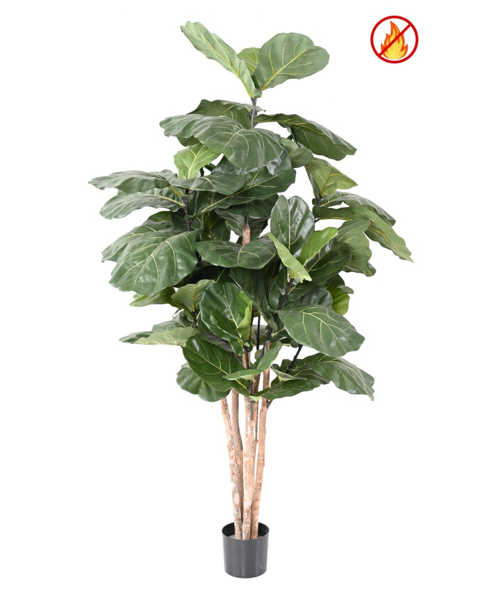 Kunstfikus Lyrata VARS 190 CM FR - Tulekindel
