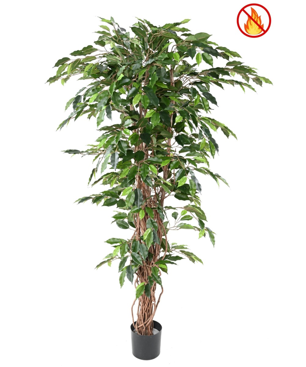 Artificial FICUS 180 CREEPERS FR - Fire Resistant