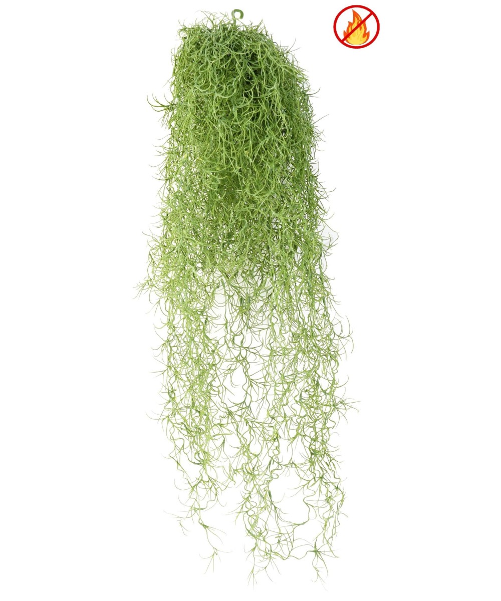 Kunstlik TILLANDSIA FR - Tulekindel