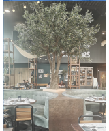 Artificial olive TREE