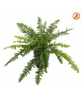 Artificial BOSTON FERN *21 FR - Fire Resistant