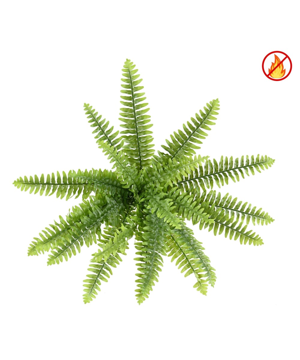 Kunstlik Boston Fern *21 FR - Tulekindel
