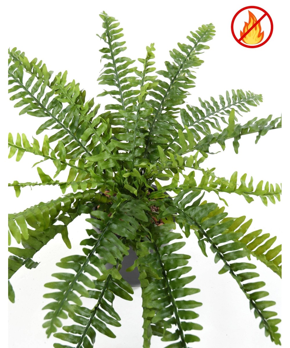 Artificial BOSTON FERN *21 FR - Fire Resistant