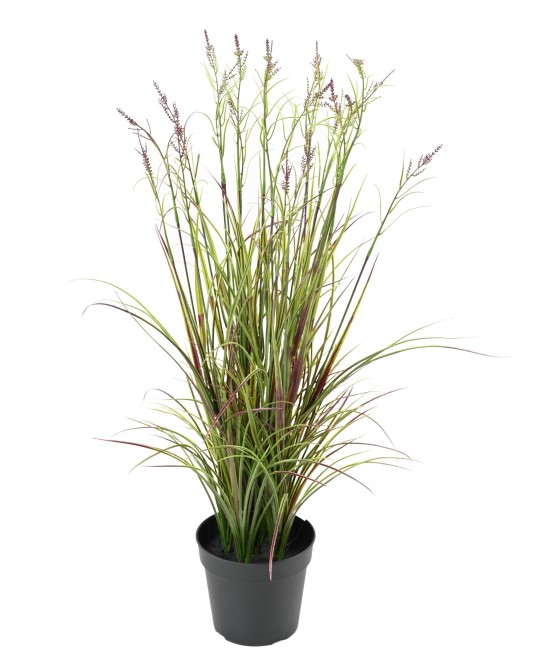 Artificial FLOWERING ACORUS POT