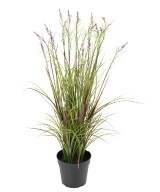 Artificial FLOWERING ACORUS POT