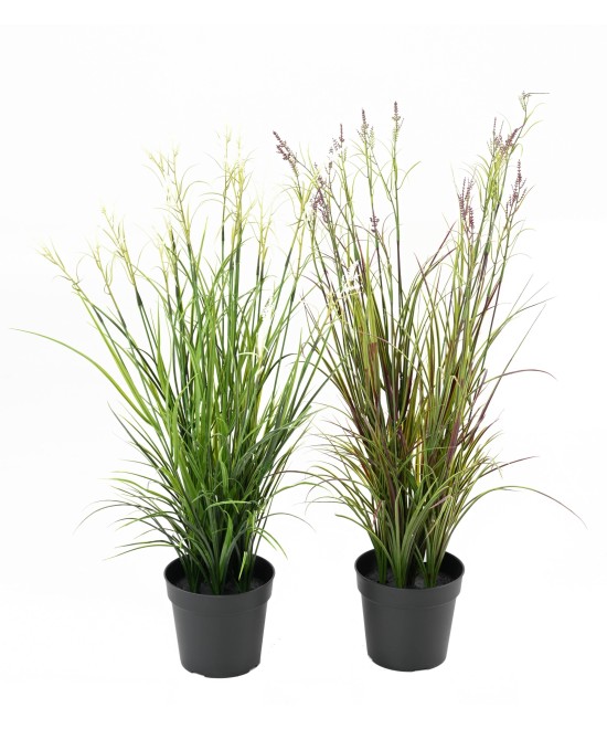 Artificial FLOWERING ACORUS POT