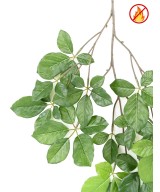 Artificial BEECH GRANDIFOLIA SPRAY FR - Fire Resistant
