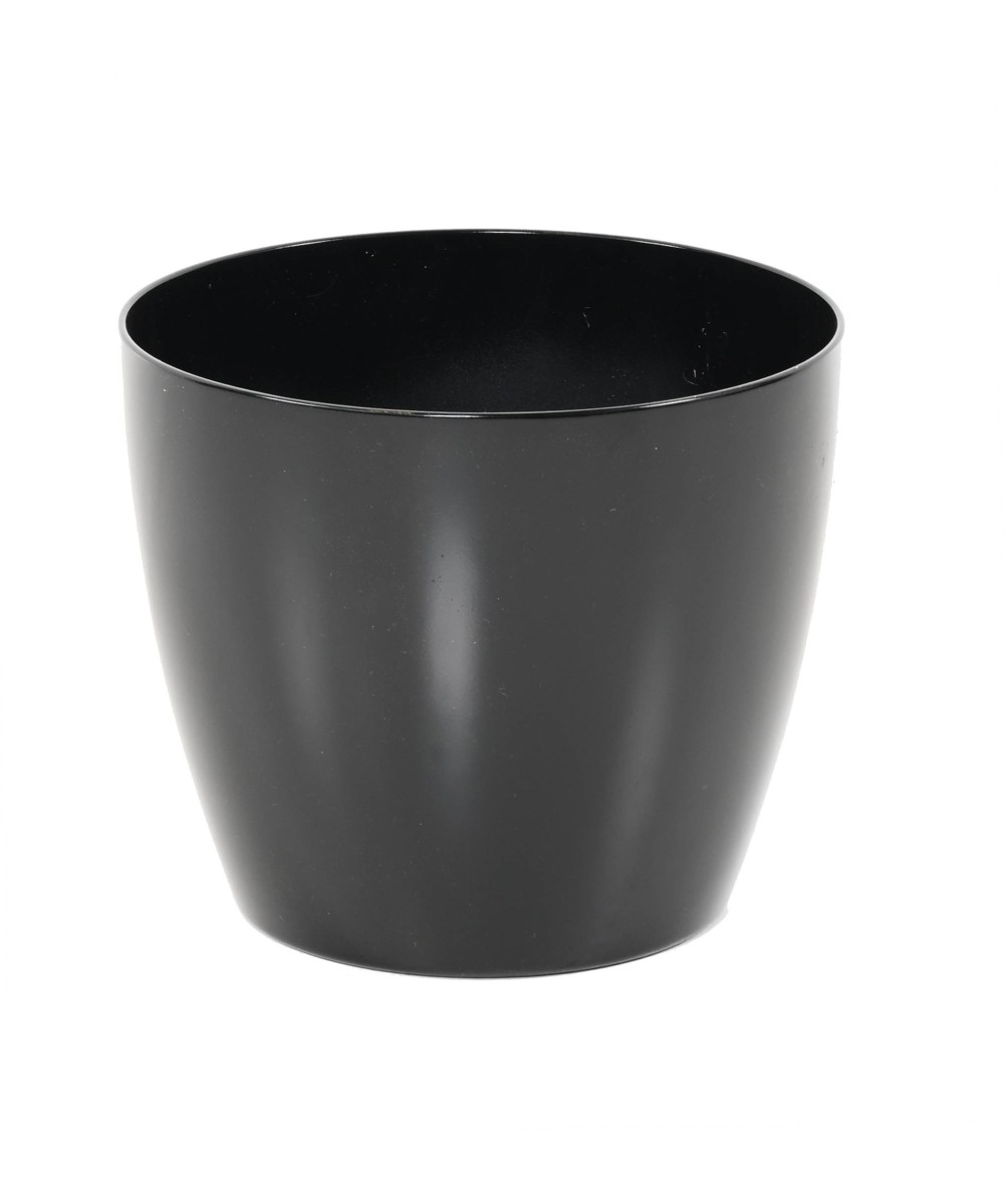 ECOLINE PHOENIX REGULAR BAQ - High Gloss Black
