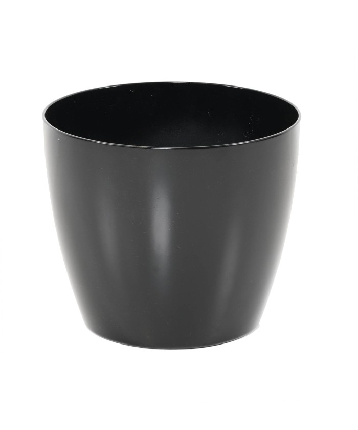 ECOLINE PHOENIX REGULAR BAQ - High Gloss Black
