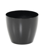 ECOLINE PHOENIX REGULAR BAQ - High Gloss Black