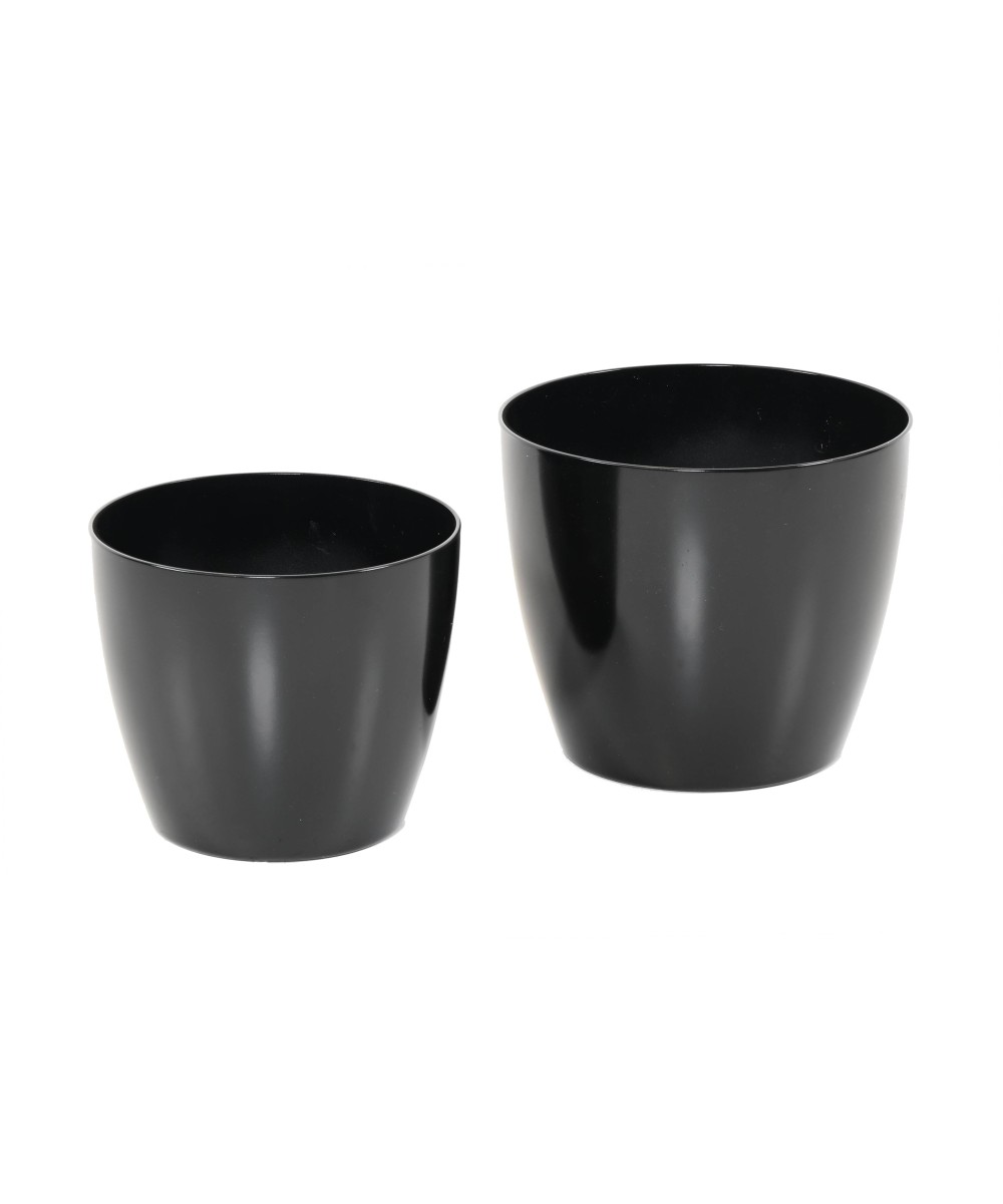 ECOLINE PHOENIX REGULAR BAQ - High Gloss Black