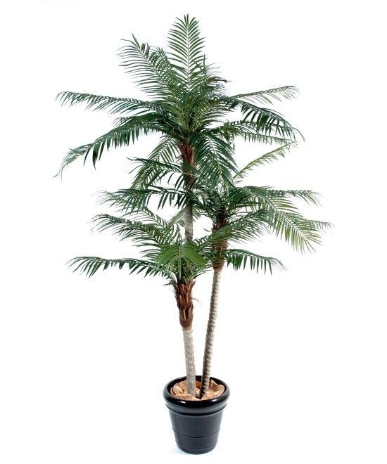 Artificial phoenix THREE TRUNKS