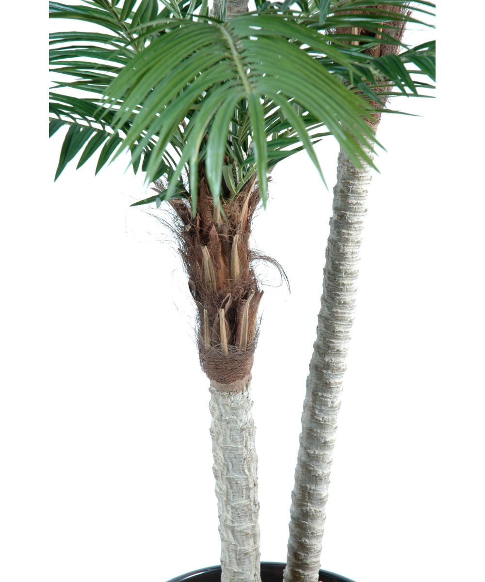 Kunst-datlipalm kolme tüvega