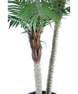 Artificial phoenix THREE TRUNKS