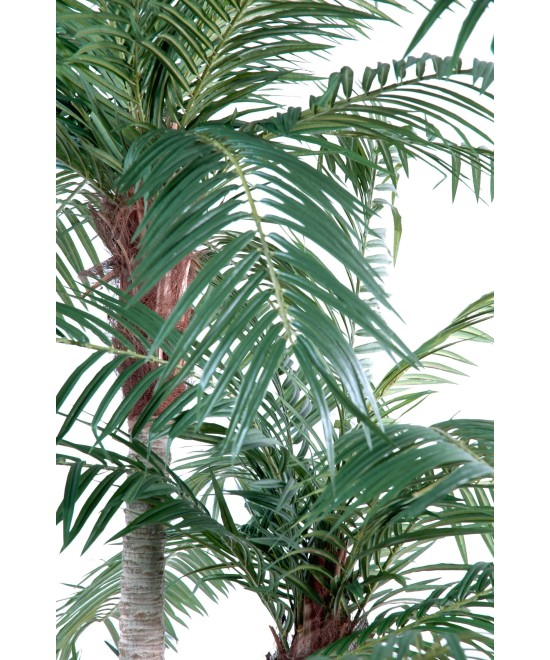 Kunst-datlipalm kolme tüvega