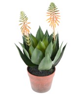 Artificial FLOWERING AGAVE