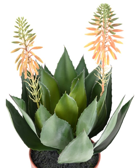 Artificial FLOWERING AGAVE