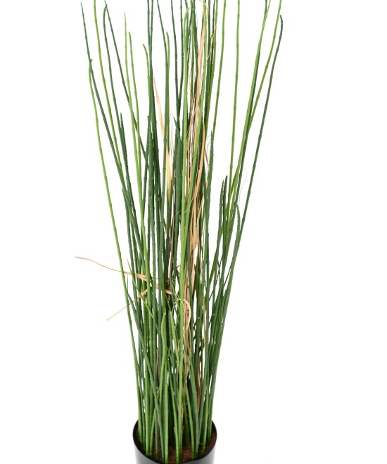 Artificial GRASS UV 100