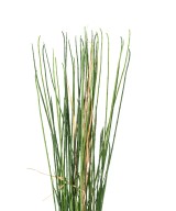 Artificial GRASS UV 100