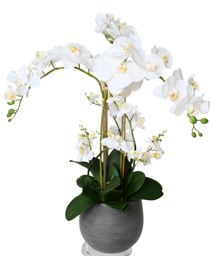 Kunstlik VALGE PHALAENOPSIS ORHIDEEKIMP