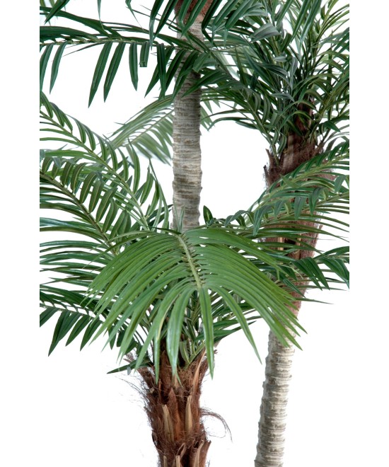 Kunst-datlipalm kolme tüvega