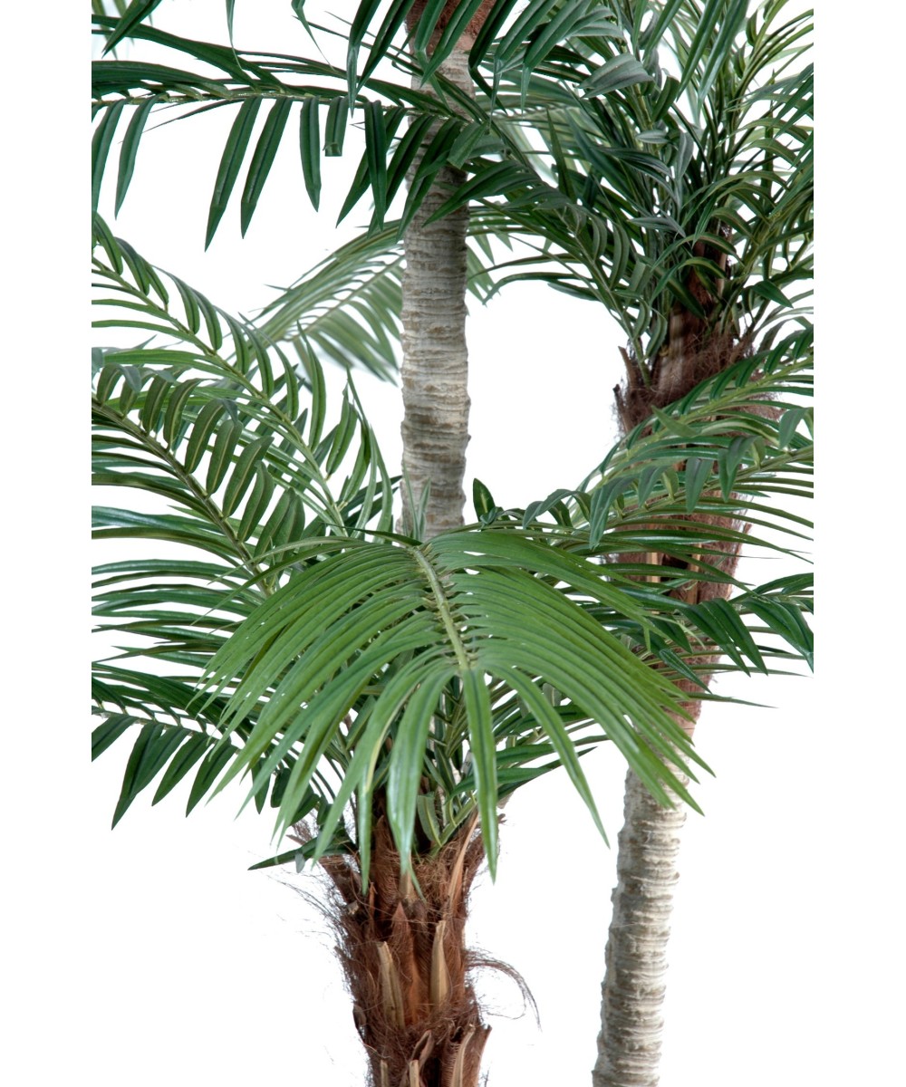 Kunst-datlipalm kolme tüvega