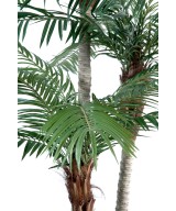 Kunst-datlipalm kolme tüvega