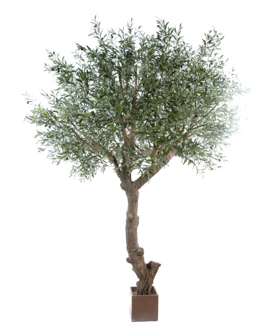 Artificial olive tree GIANT HEAD