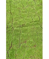 Artificial MOSS WOOD 100x200