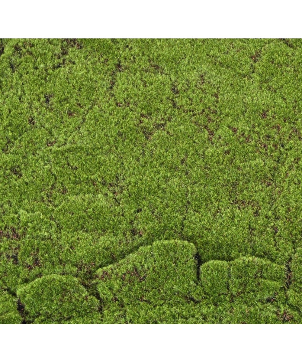 Artificial MOSS WOOD 100x200