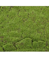 Artificial MOSS WOOD 100x200