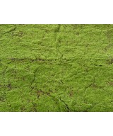 Artificial MOSS WOOD 100x200