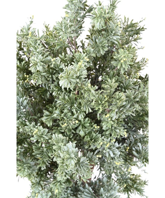 Kunstlik CROSSOSTEFIUM UV