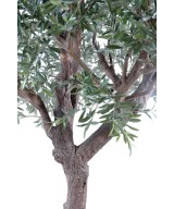 Artificial olive tree GIANT HEAD