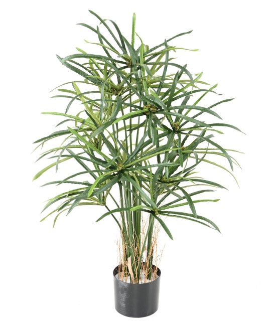 Kunstlikud PAPÜÜRUSE (ALTERNIFOLIUS) MARJAD