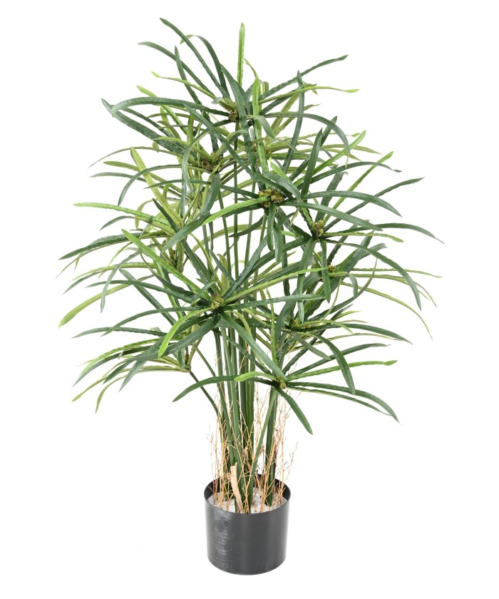 Kunstlikud PAPÜÜRUSE (ALTERNIFOLIUS) MARJAD