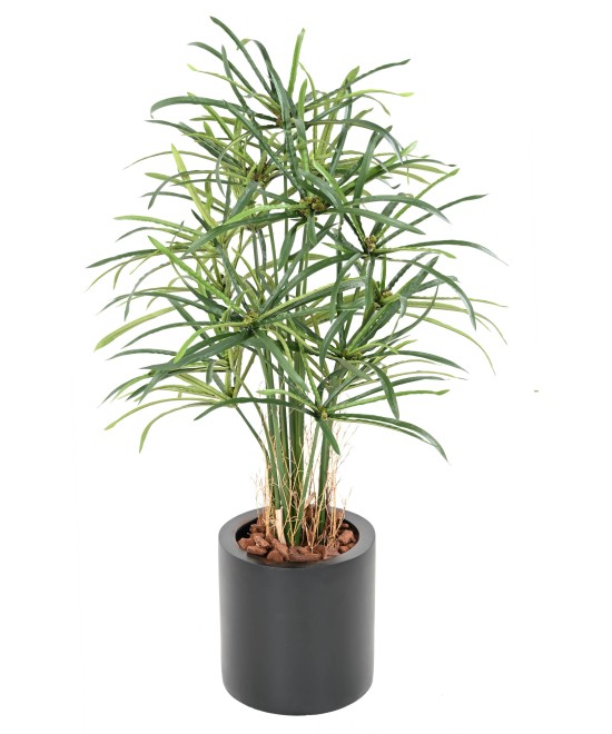 Kunstlikud PAPÜÜRUSE (ALTERNIFOLIUS) MARJAD