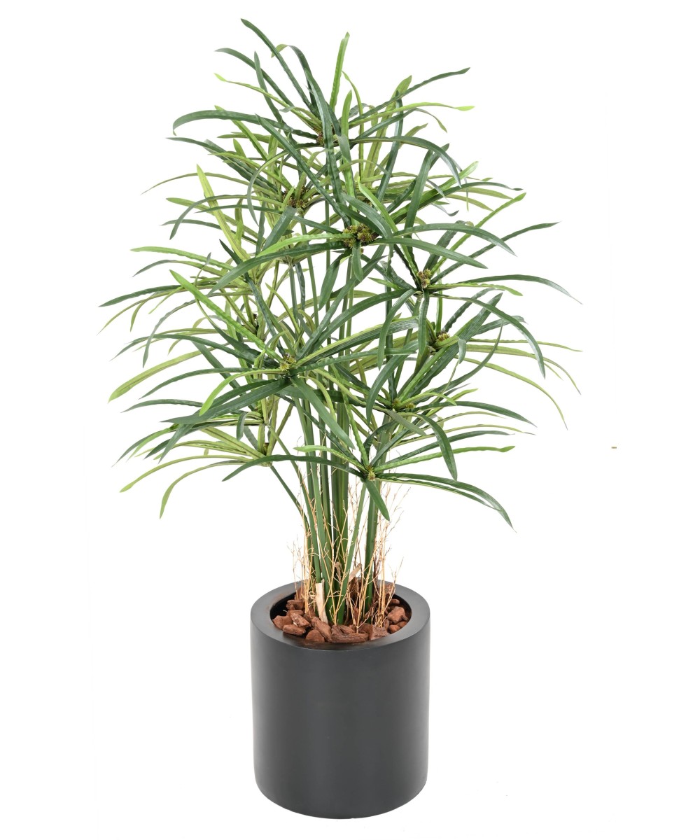 Kunstlikud PAPÜÜRUSE (ALTERNIFOLIUS) MARJAD