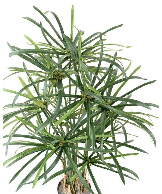 Kunstlikud PAPÜÜRUSE (ALTERNIFOLIUS) MARJAD