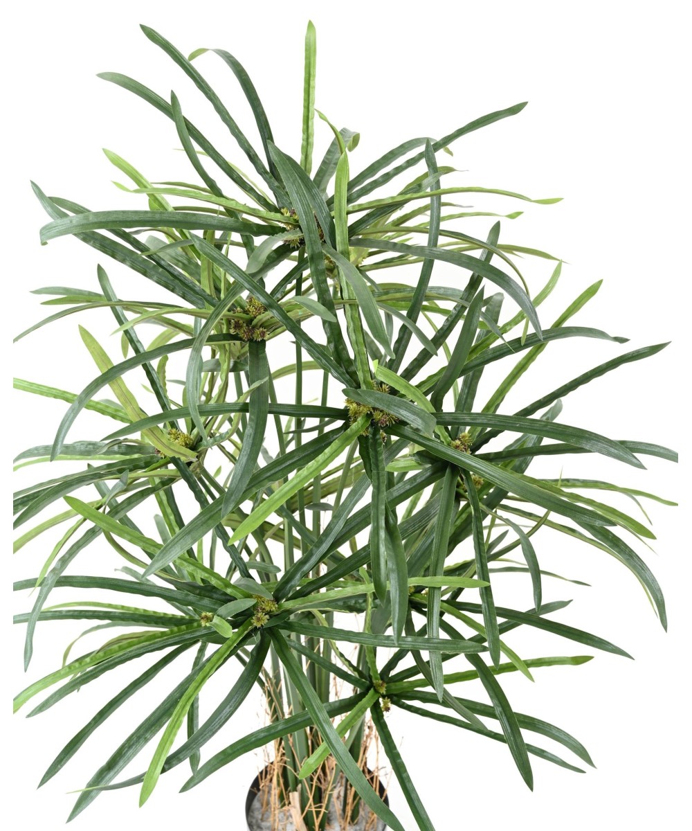 Kunstlikud PAPÜÜRUSE (ALTERNIFOLIUS) MARJAD