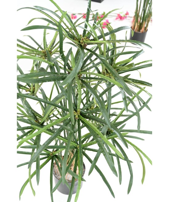 Kunstlikud PAPÜÜRUSE (ALTERNIFOLIUS) MARJAD