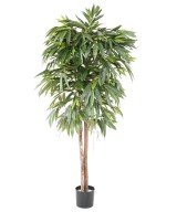 Kunstlik viirpuu (Ficus longifolia)