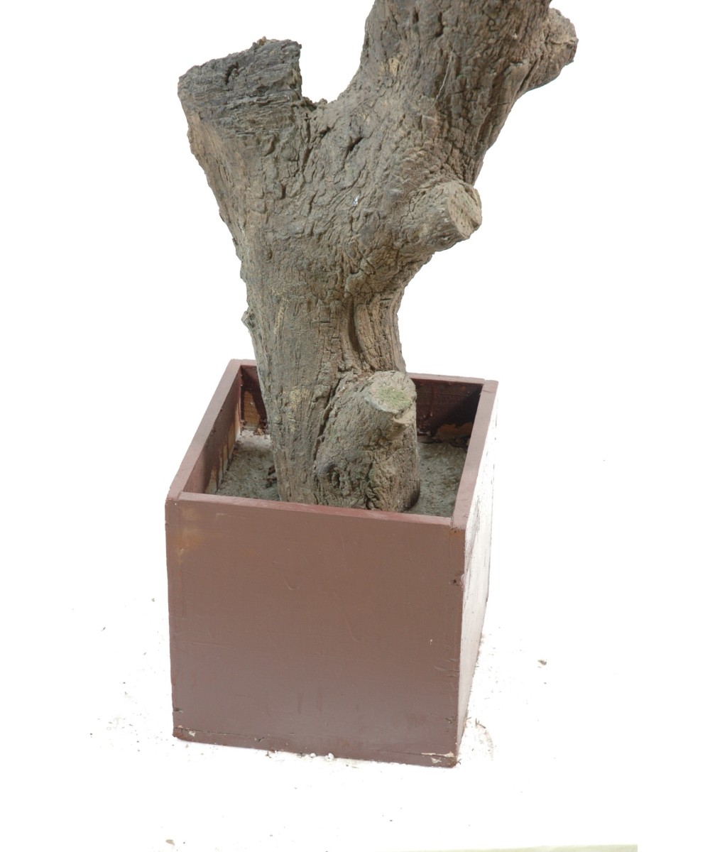 Artificial olive tree GIANT HEAD