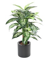 Kunstlik DIEFFENBACHIA pott