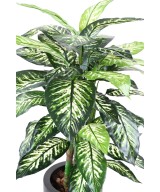 Kunstlik DIEFFENBACHIA pott
